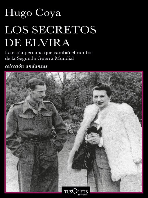 Cover image for Los secretos de Elvira